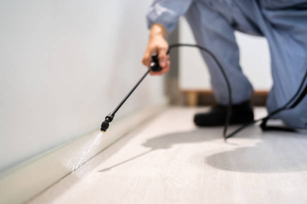 Certified termite inspector examining foundation in Dudley