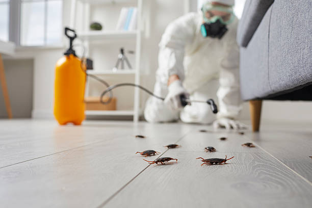 Commercial Kitchen Cockroach Control in Dudley